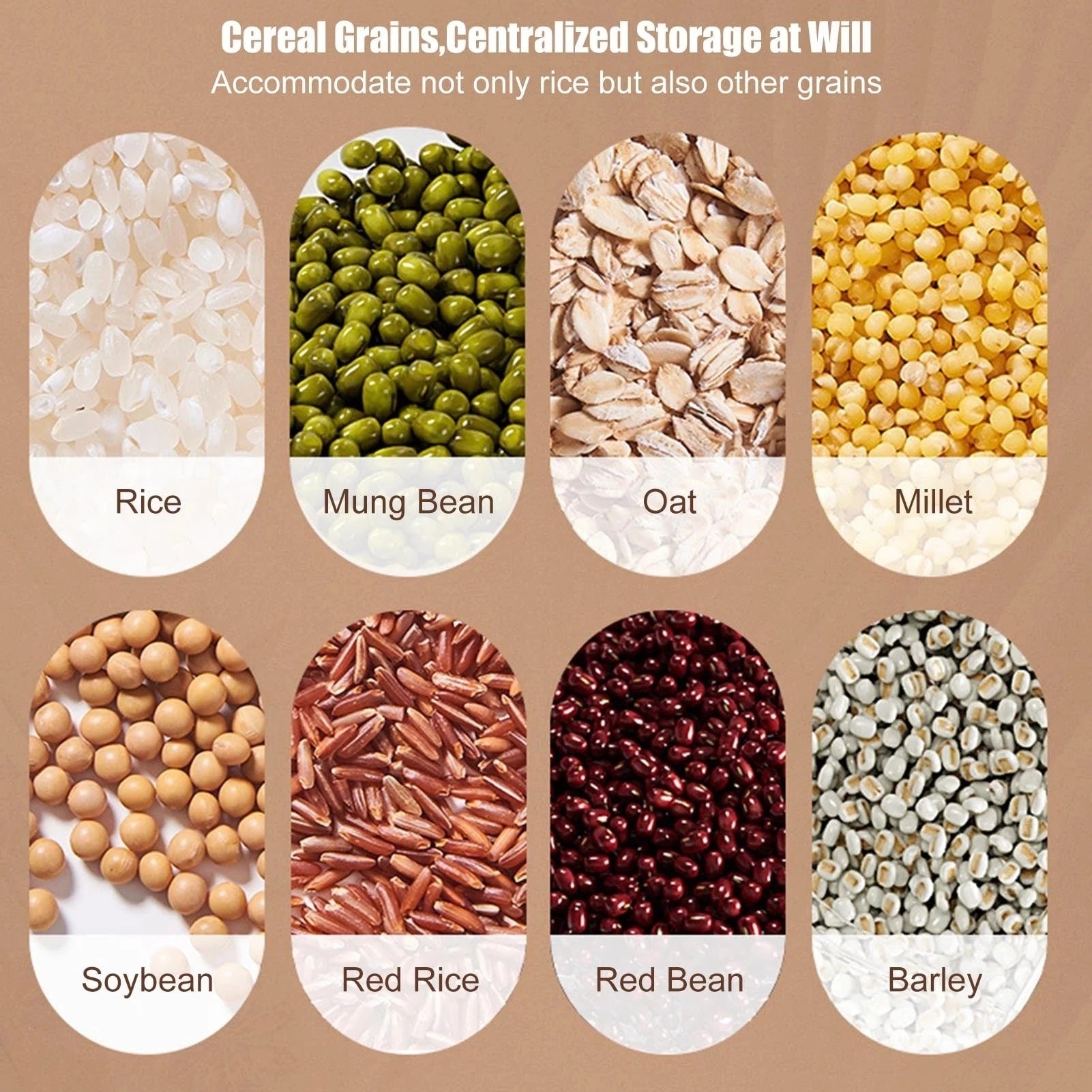 360° Rotatable Multi-Grid Food Storage/Cereal and Grain Dispenser