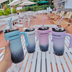Premium Stainless Steel Insulated Travel Tumbler 780ml